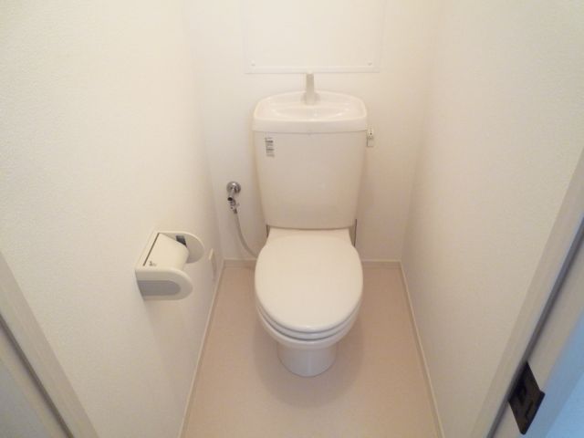 Toilet. Toilet with cleanliness