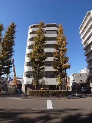 Local appearance photo