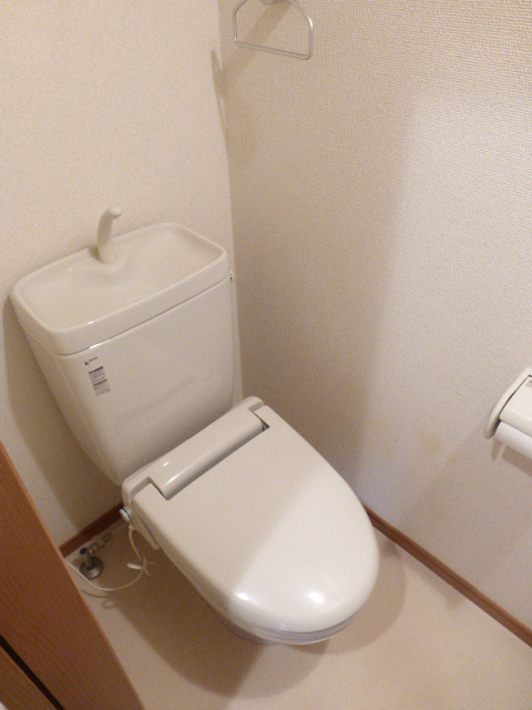 Toilet. It is clean toilet