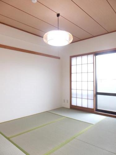 Non-living room. Japanese-style sliding doors ・ Other shoji Insect, Tatami mat replacement