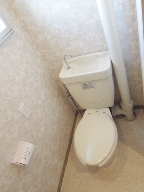 Toilet. Bright toilet