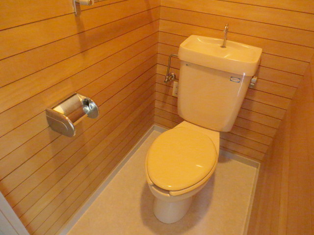 Toilet. Restroom stylish Wood