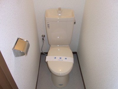 Toilet. Toilet