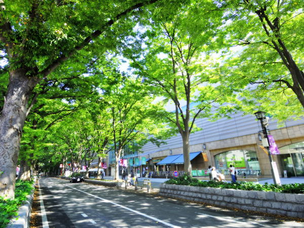 Surrounding environment. Baba Daimon Zelkova trees (about 240m ・ A 3-minute walk)