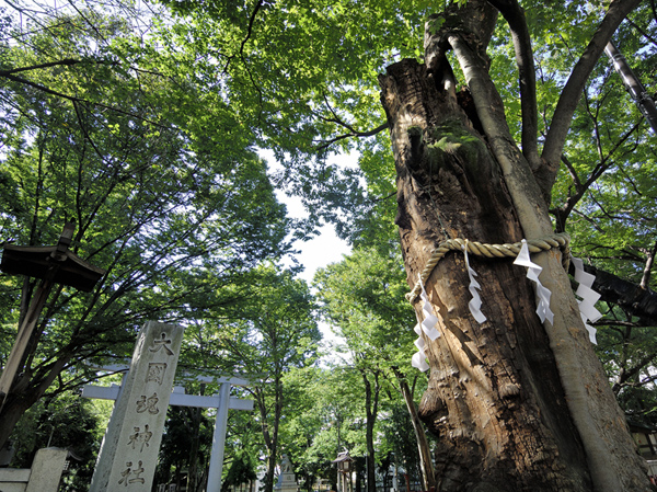 Surrounding environment. Ōkunitama Shrine (about 400m ・ A 5-minute walk)