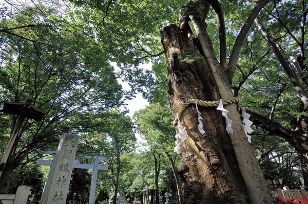 Ōkunitama Shrine (about 400m ・ A 5-minute walk)