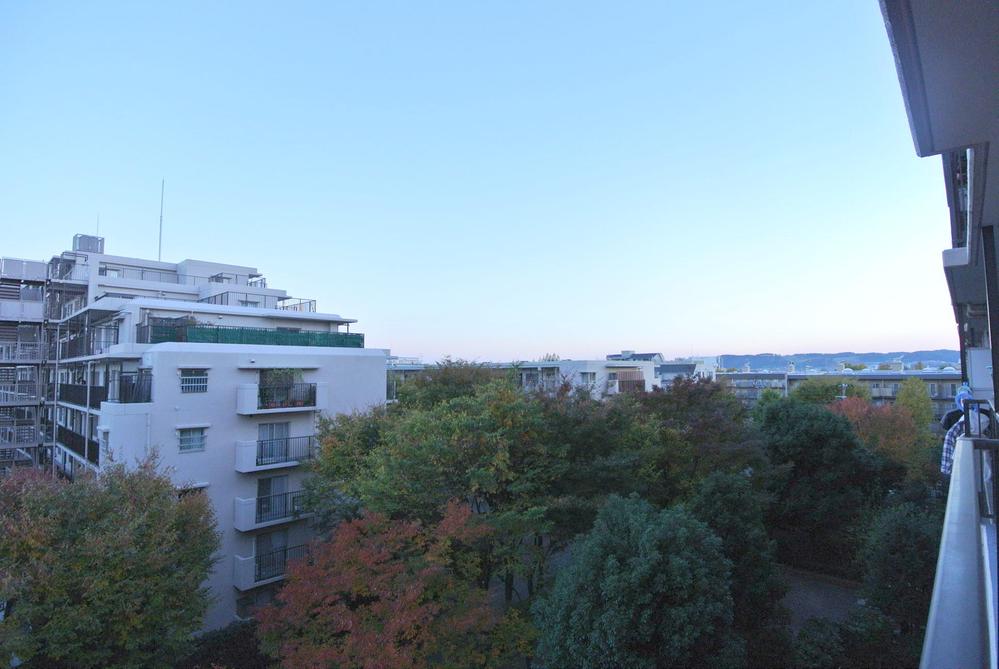 View photos from the dwelling unit. View from local