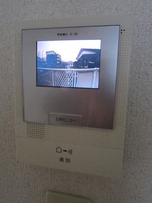 Security. Monitor with a intercom