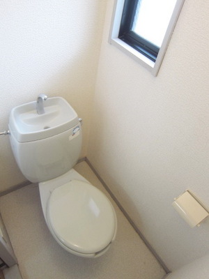 Toilet. Bright toilet because it comes with a window