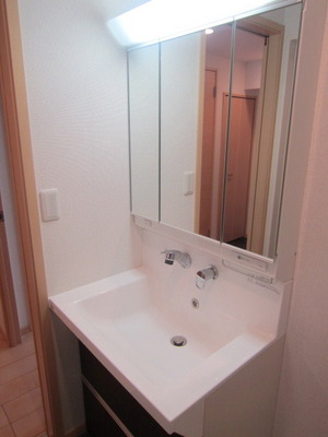 Washroom. It is a convenient washbasin