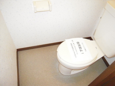 Toilet. Western-style toilet