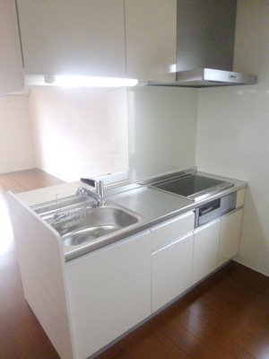 Kitchen. System kitchen