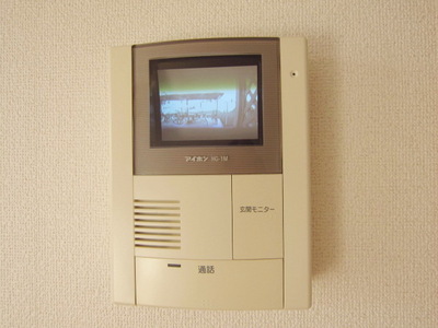 Security. It is with TV monitor phone