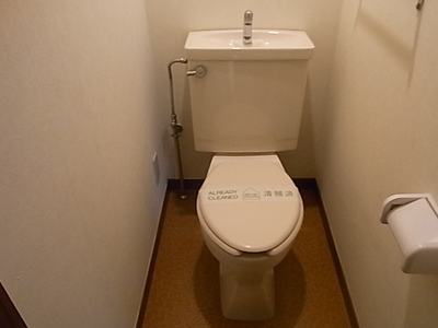 Toilet. Space to settle down