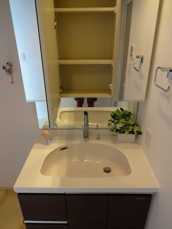 Wash basin, toilet. Bathroom vanity