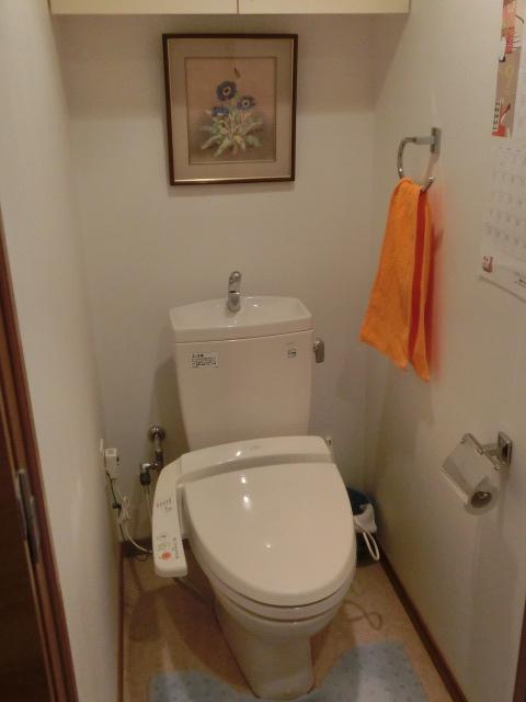 Toilet. Room (August 2013) Shooting