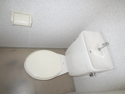 Toilet. Toilet