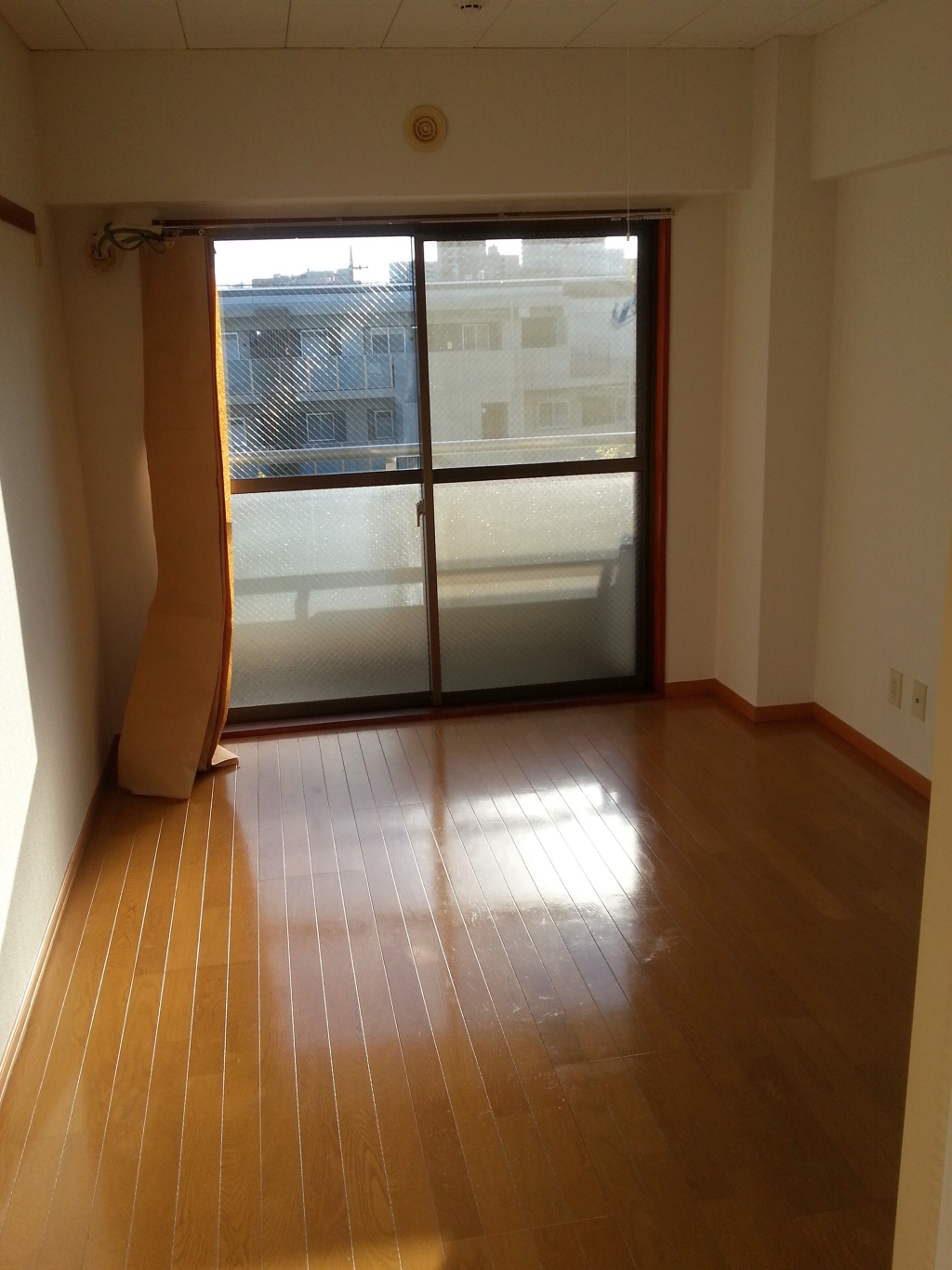 Living and room. South window is sunny! ! 