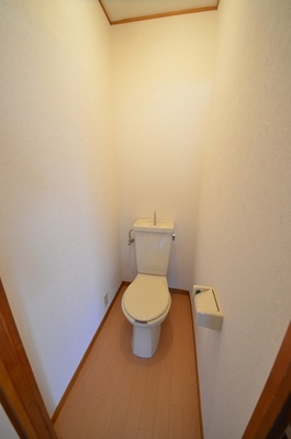 Toilet. Toilet