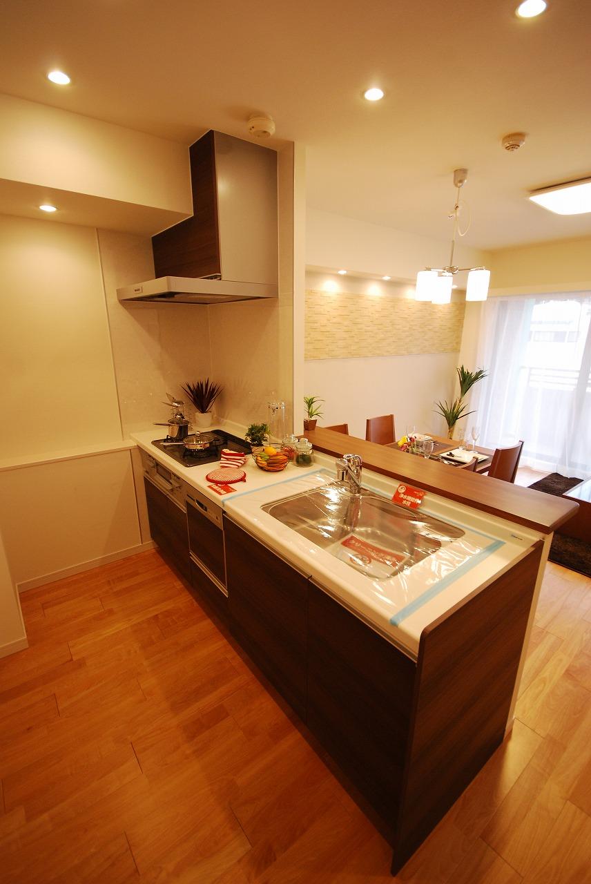 Kitchen. Indoor (12 May 2013) Shooting