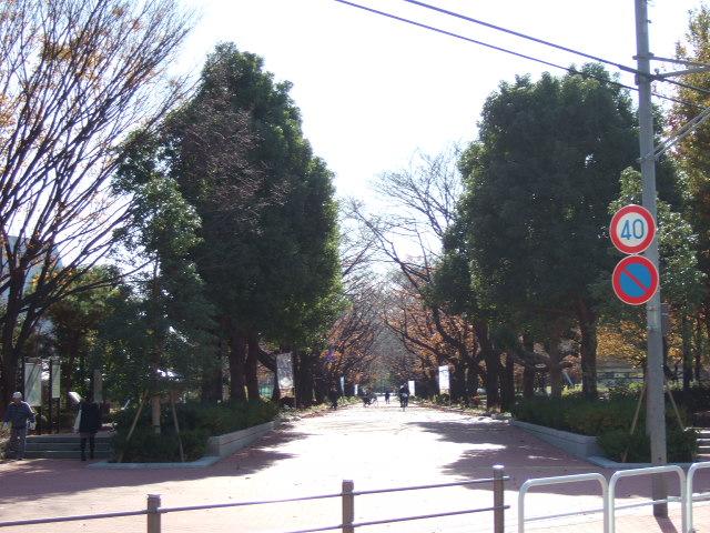 Other. Fuchu Forest Park ・ Until the front 184m (about 3 minutes)