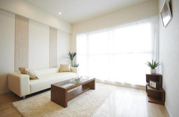 Living. Bright room. Certainly once please visit.