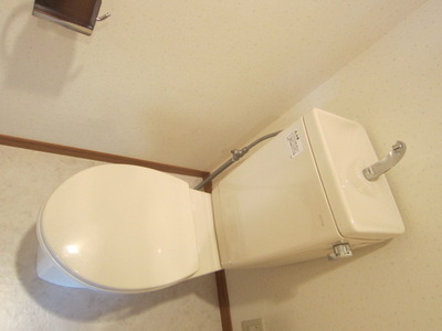 Toilet. It is a comfortable toilet