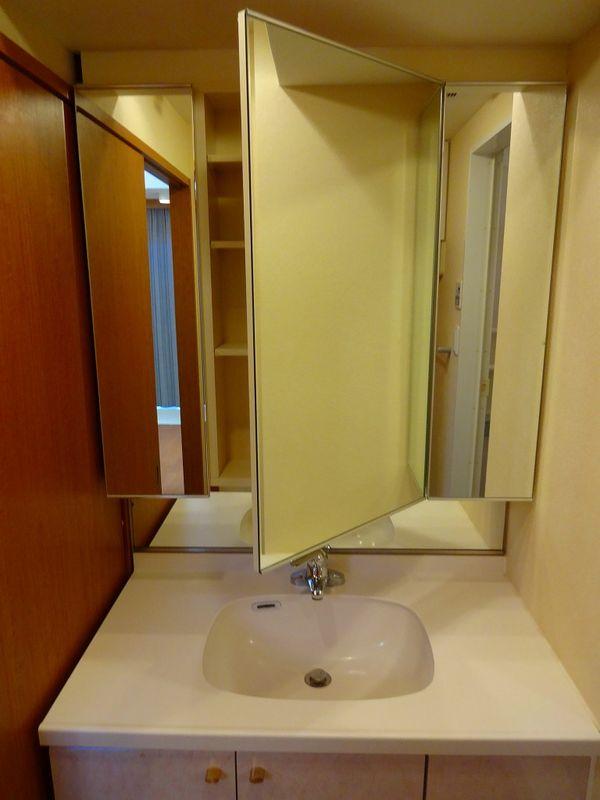 Wash basin, toilet. Bathroom vanity