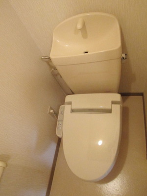 Toilet. It settles down space