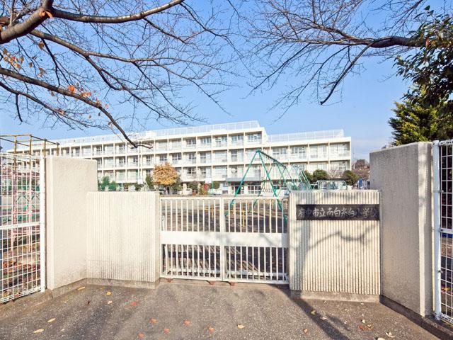 Primary school. Fuchu Municipal Shiraitodai 30m to elementary school