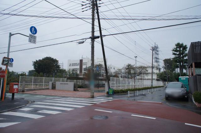 Local photos, including front road