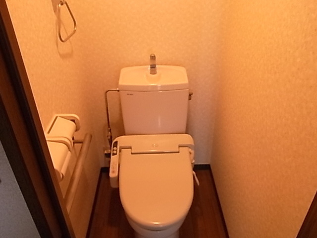 Toilet. Toilet