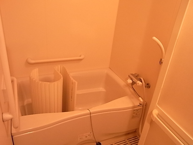 Bath. Reheating function with bathroom