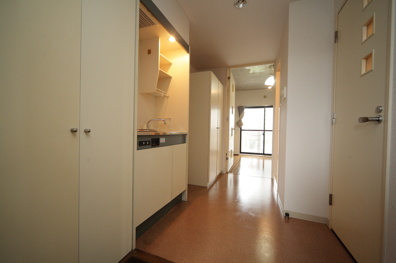 Kitchen. Kitchen corridor has been created to spread