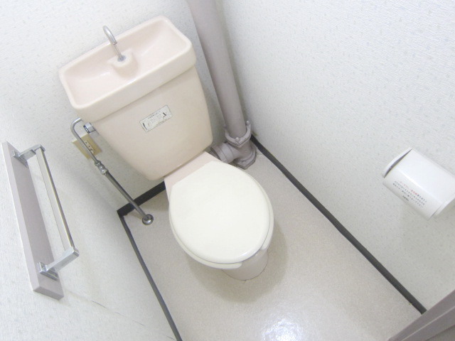 Toilet. It is a beautiful toilet