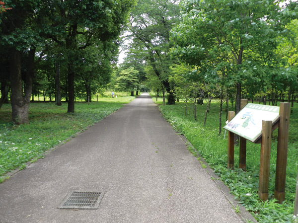 Surrounding environment. Musashino Forest Park (about 3500m / Bicycle about 14 minutes)
