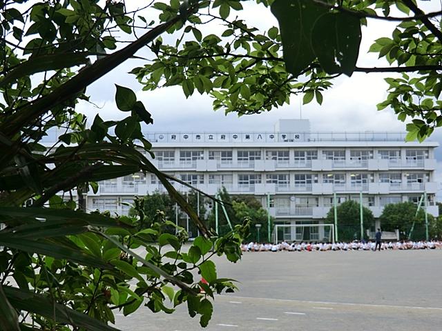 Junior high school. 1200m to Fuchu Municipal Fuchu eighth Junior High School