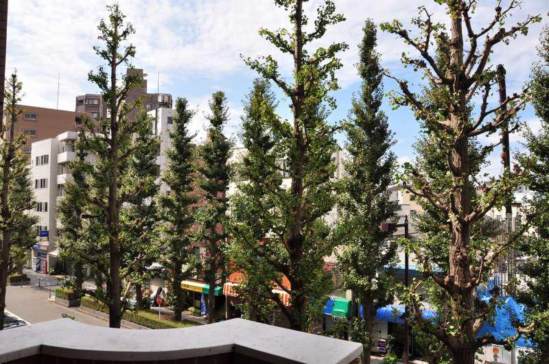 View photos from the dwelling unit. View from the site (October 2013) Shooting