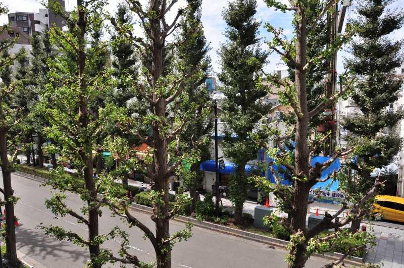 View photos from the dwelling unit. View from the site (October 2013) Shooting