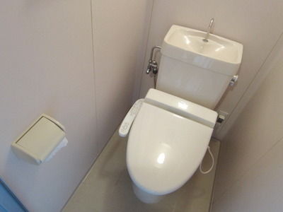 Toilet. It is a beautiful toilet