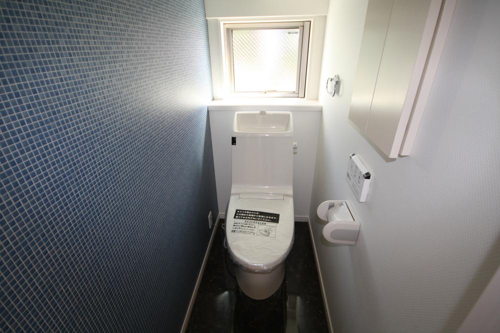 Toilet. Indoor (September 2013) Shooting