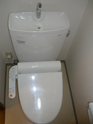 Toilet. Warm water washing toilet seat newly established!