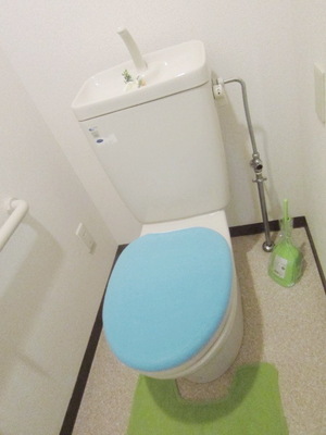 Toilet. Clean toilet with cleanliness