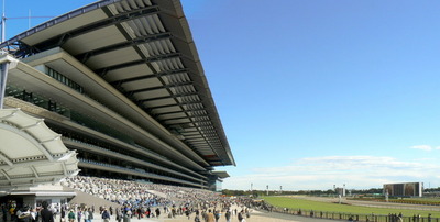 Other. Racecourse to (other) 440m