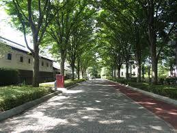 Streets around. ~ Enhancement of the surrounding environment ~  Local Forest Park ・ Is rich location local forest museum green and leisure facilities.