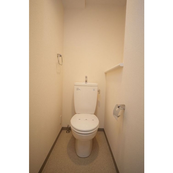 Toilet. There is a feeling of cleanliness also simple storage space in the toilet