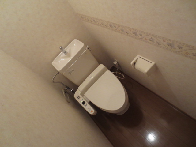 Toilet. With automatic washing machine is the toilet.