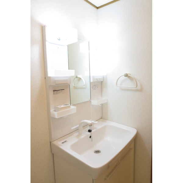 Washroom. Wash basin is a new independent! Shampoo dresser!