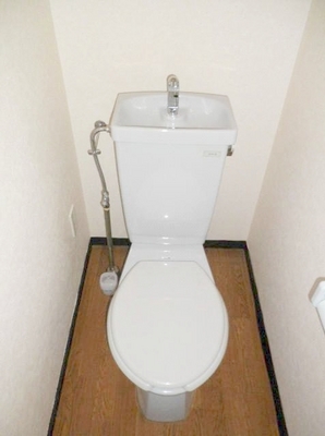 Toilet. ● toilet ●