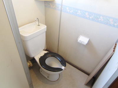 Toilet. It is a beautiful toilet